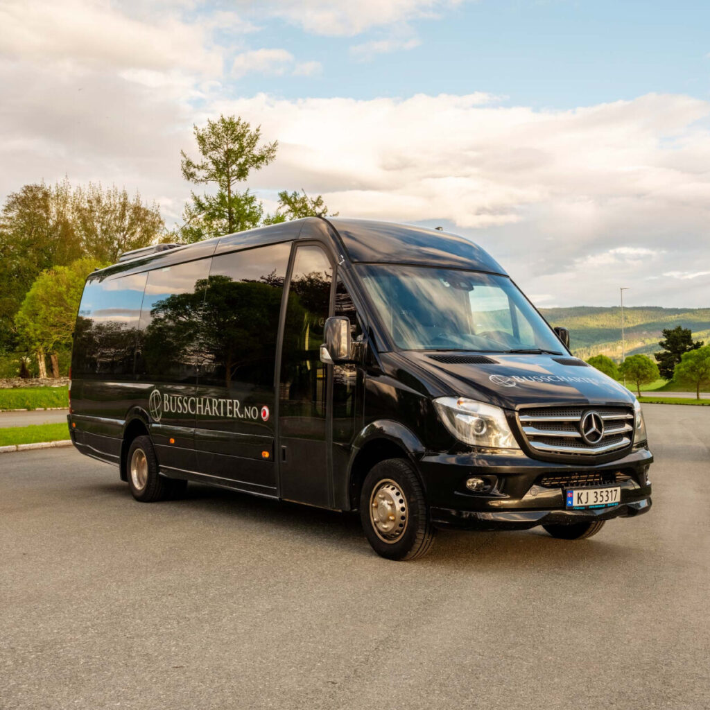 Minibuss til leie